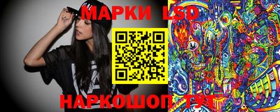 индика Краснокаменск