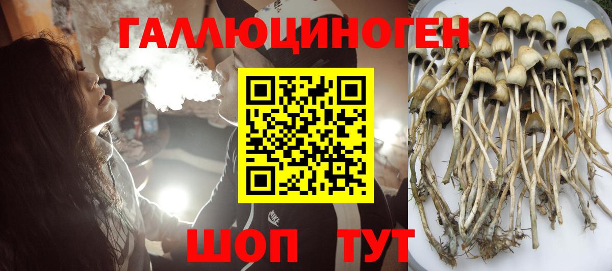 Галлюциногенные грибы ЛСД Ейск