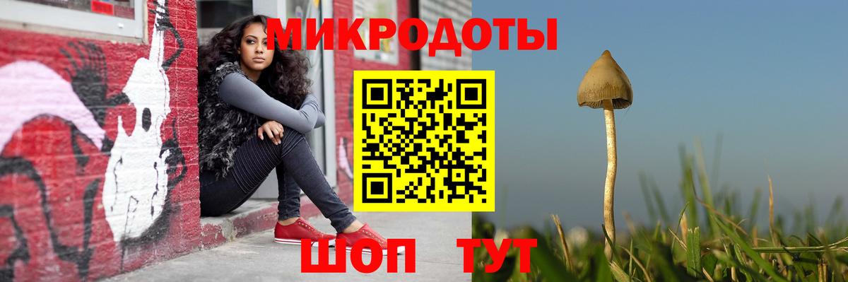 где можно купить наркотик  Псилоцибиновые грибы Psilocybe  Вход с VPN  Ейск 
